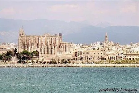 Amic Colon Palma de Mallorca